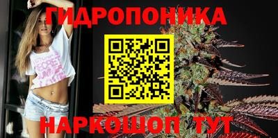 дживик Аша