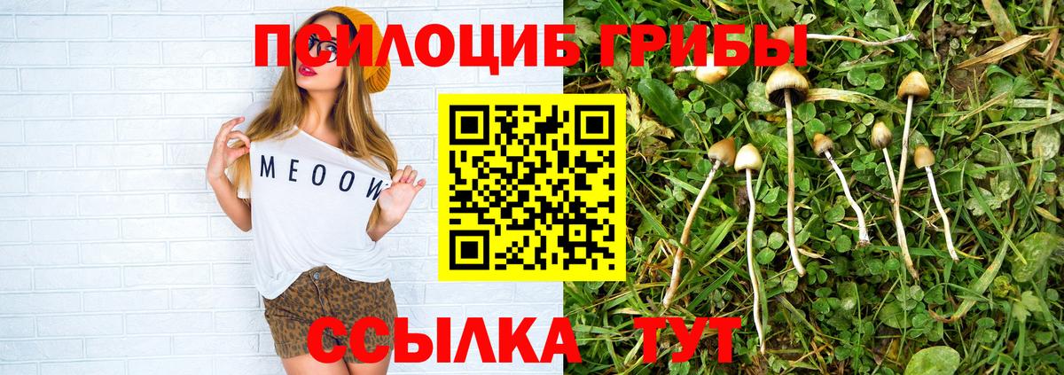 закладки  Вход с VPN  Выборг  Псилоцибиновые грибы Magic Shrooms 