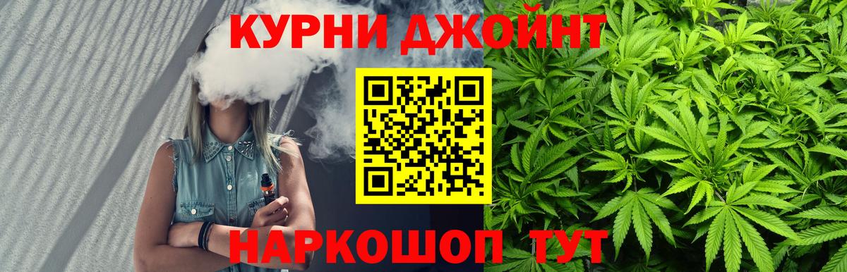 Марихуана сатива Выборг